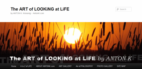 The ART Of LOOKiNG At LiFE website banner ~ Photo of sunset by Anton K